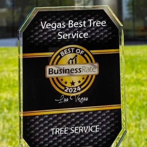 BusinessRate Best of 2024 Las Vegas tree service trophy