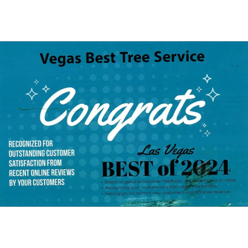 Las Vegas Best of 2024 award certificate