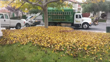 Heavy autumn leaf cleanup with the Vegas Best Tree Service dump truck at a Las Vegas home