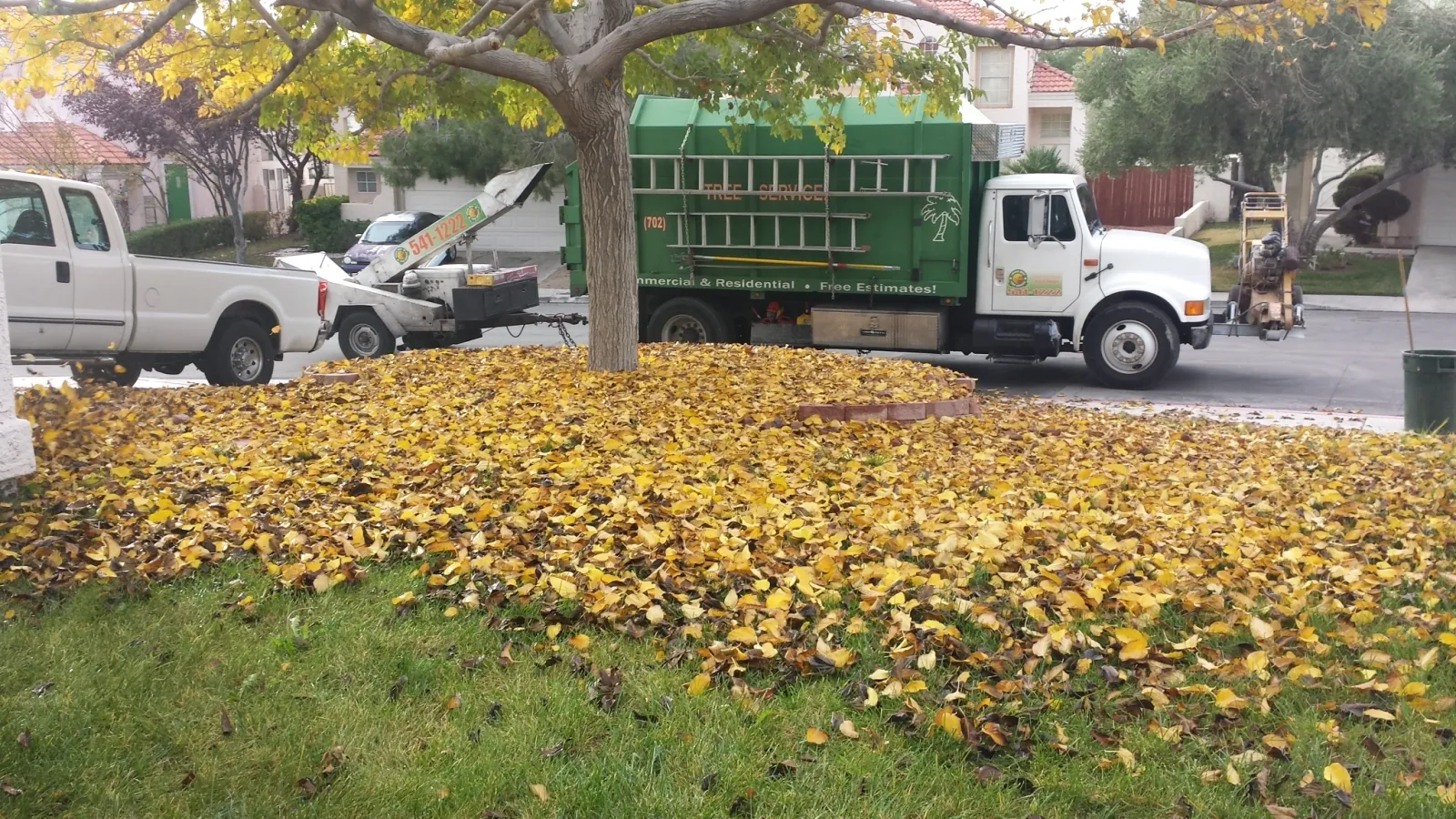 Autumn leaf and yard cleanup with the Vegas Best Tree Service dump truck