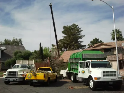 Vegas Best Tree Service trucks and a crane at a tree removal on a Las Vegas street