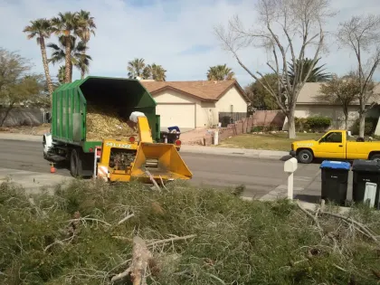 Tree branches being fed into a tow-behind wood chipper on a Las Vegas street