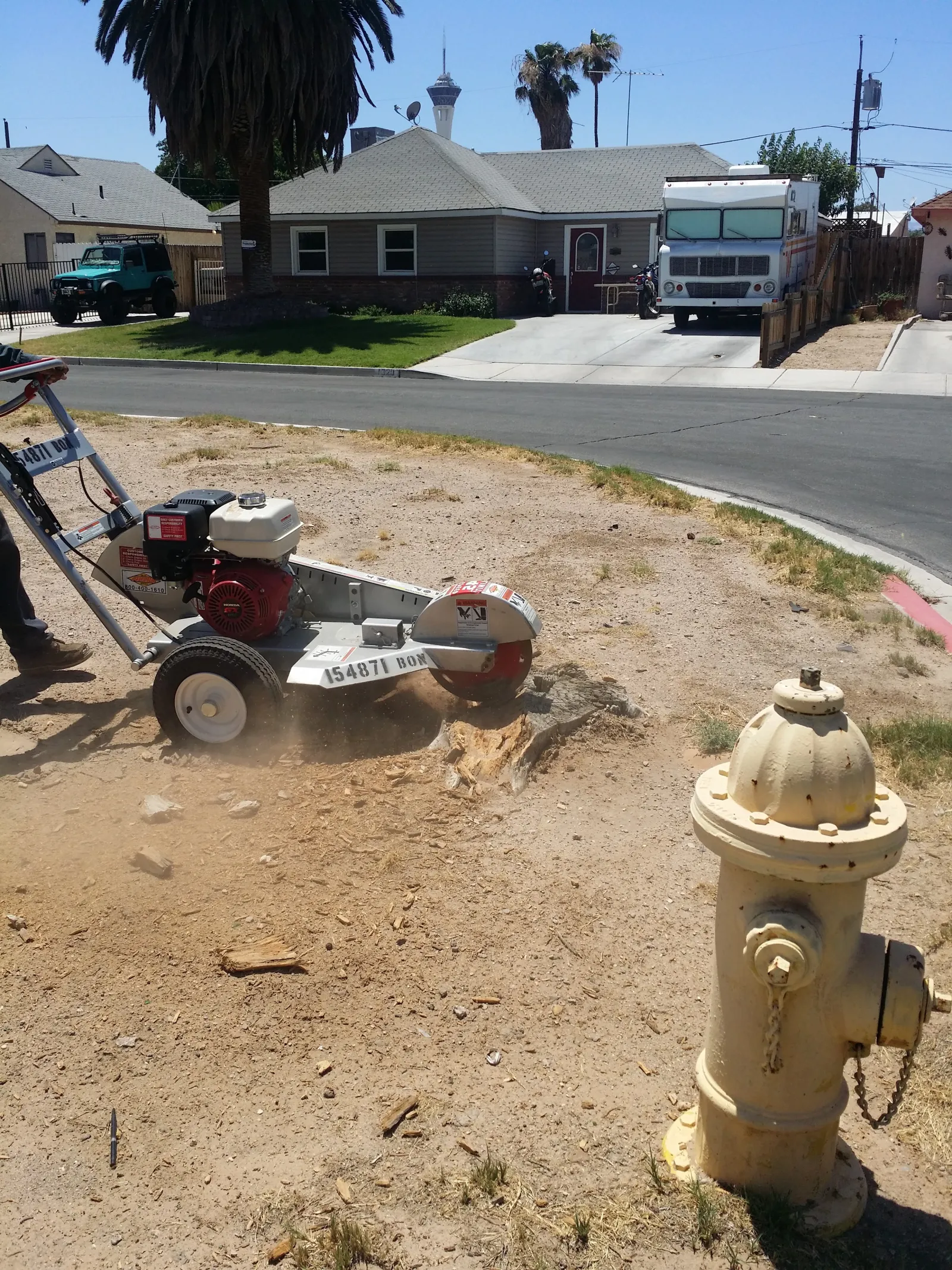Stump grinder removing a tree stump in a Las Vegas yard