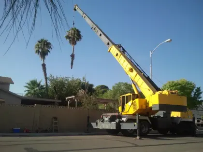 Yellow mobile crane lifting a palm during a removal on a Las Vegas street